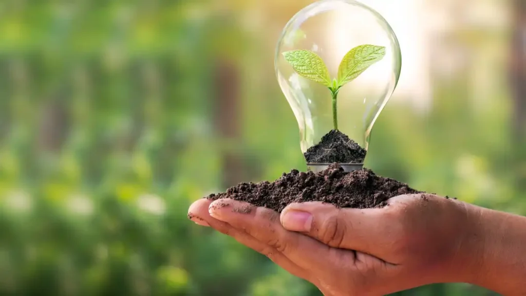 Similarities Among Environmental Science Careers: